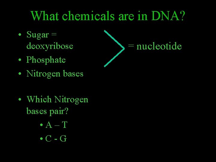 What chemicals are in DNA? • Sugar = deoxyribose • Phosphate • Nitrogen bases