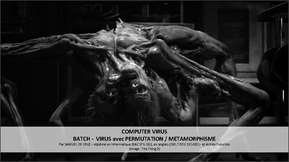 COMPUTER VIRUS BATCH - VIRUS avec PERMUTATION / METAMORPHISME Par SAMUEL DE CRUZ –