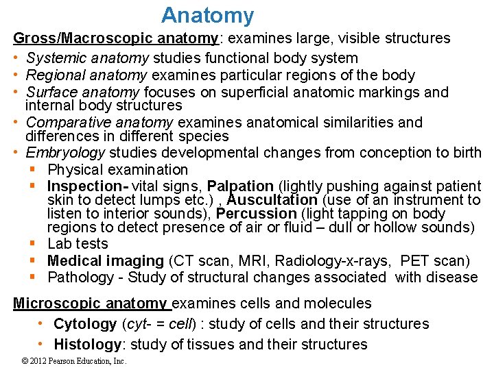 Anatomy Gross/Macroscopic anatomy: examines large, visible structures • Systemic anatomy studies functional body system