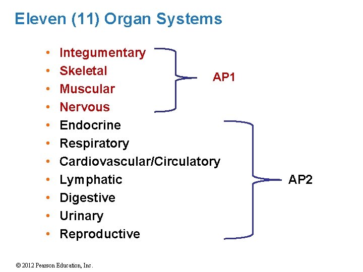 Eleven (11) Organ Systems • • • Integumentary Skeletal AP 1 Muscular Nervous Endocrine