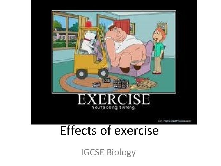 Effects of exercise IGCSE Biology 