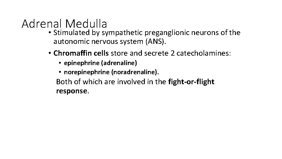 Adrenal Medulla • Stimulated by sympathetic preganglionic neurons of the autonomic nervous system (ANS).