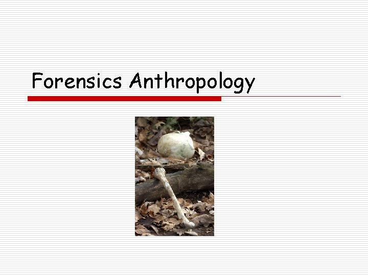 Forensics Anthropology 