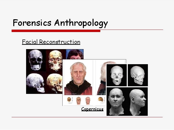 Forensics Anthropology Facial Reconstruction Copernicus 