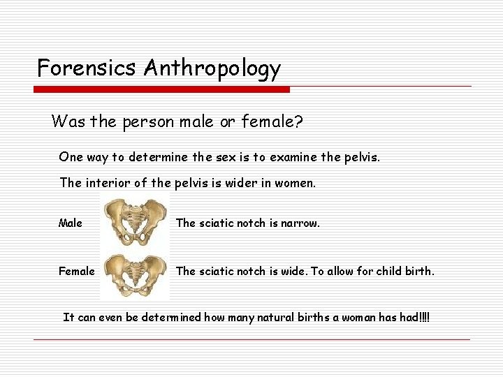 Forensics Anthropology Was the person male or female? One way to determine the sex