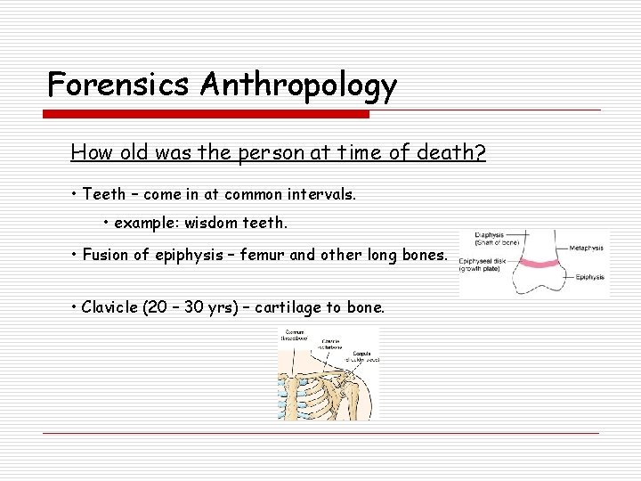Forensics Anthropology How old was the person at time of death? • Teeth –