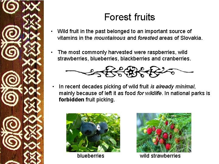 Forest fruits • Wild fruit in the past belonged to an important source of