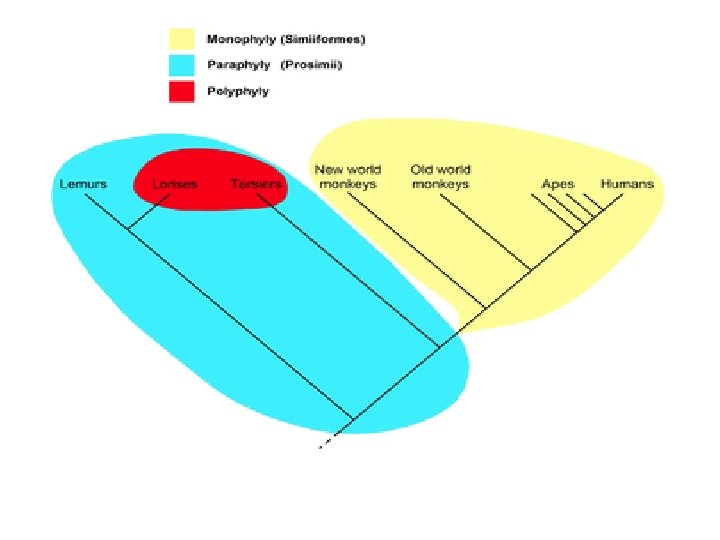 Evolution constancy change Modern Evidence for Natural Selection