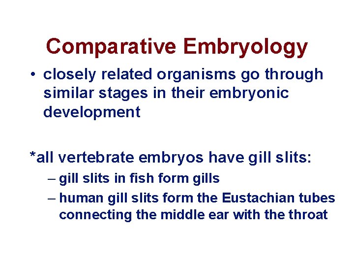 Comparative Embryology • closely related organisms go through similar stages in their embryonic development