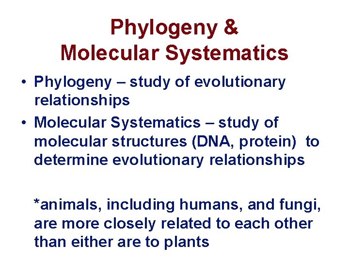Phylogeny & Molecular Systematics • Phylogeny – study of evolutionary relationships • Molecular Systematics