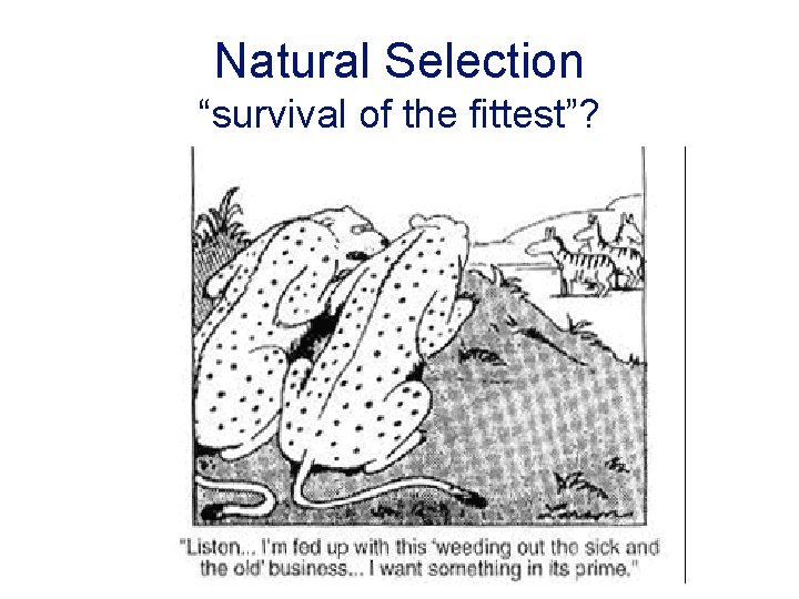 Natural Selection “survival of the fittest”? 