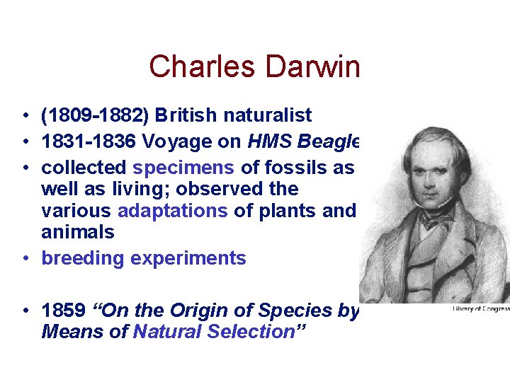 Charles Darwin • (1809 -1882) British naturalist • 1831 -1836 Voyage on HMS Beagle