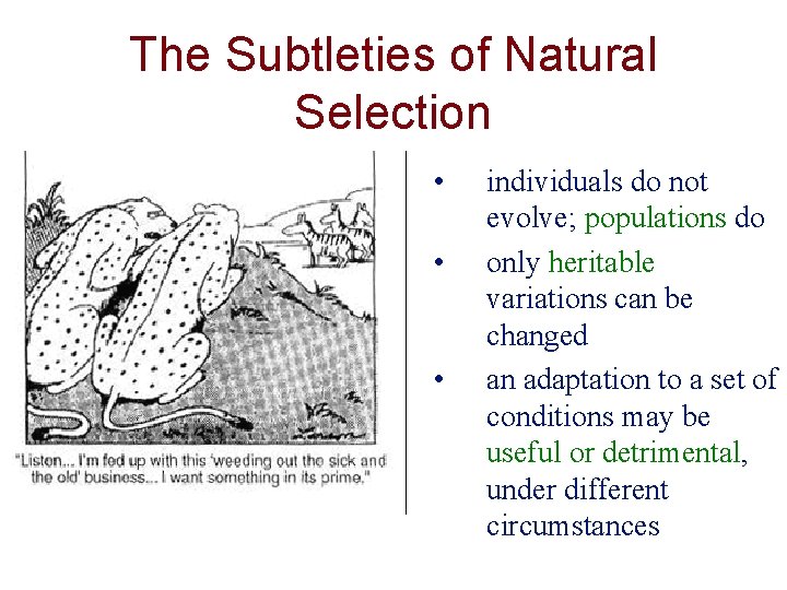 The Subtleties of Natural Selection • • • individuals do not evolve; populations do