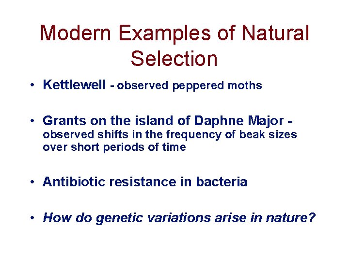 Modern Examples of Natural Selection • Kettlewell - observed peppered moths • Grants on