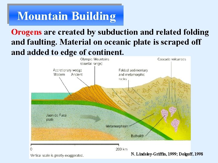Mountain Building Orogens are created by subduction and related folding and faulting. Material on