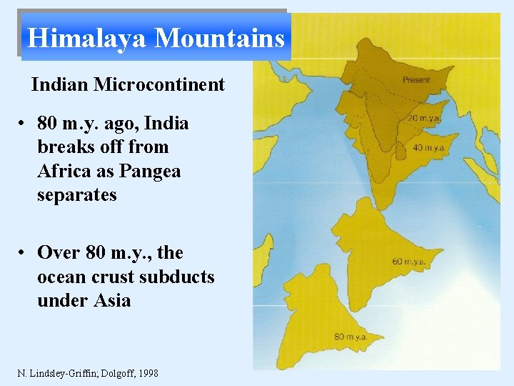 Himalaya Mountains Indian Microcontinent • 80 m. y. ago, India breaks off from Africa