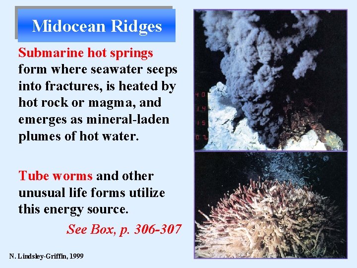 Midocean Ridges Submarine hot springs form where seawater seeps into fractures, is heated by