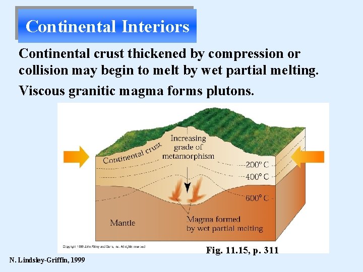 Continental Interiors Continental crust thickened by compression or collision may begin to melt by