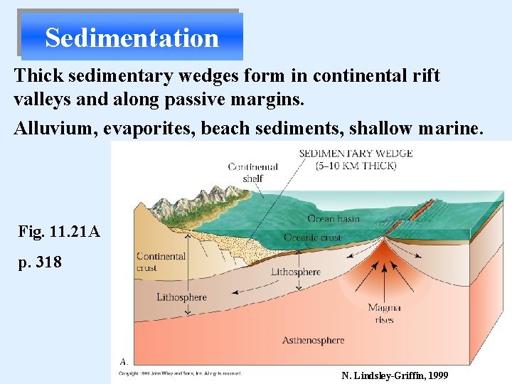 Sedimentation Thick sedimentary wedges form in continental rift valleys and along passive margins. Alluvium,