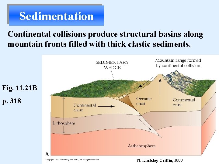 Sedimentation Continental collisions produce structural basins along mountain fronts filled with thick clastic sediments.