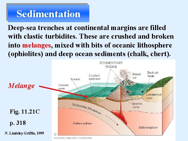 Sedimentation Deep-sea trenches at continental margins are filled with clastic turbidites. These are crushed