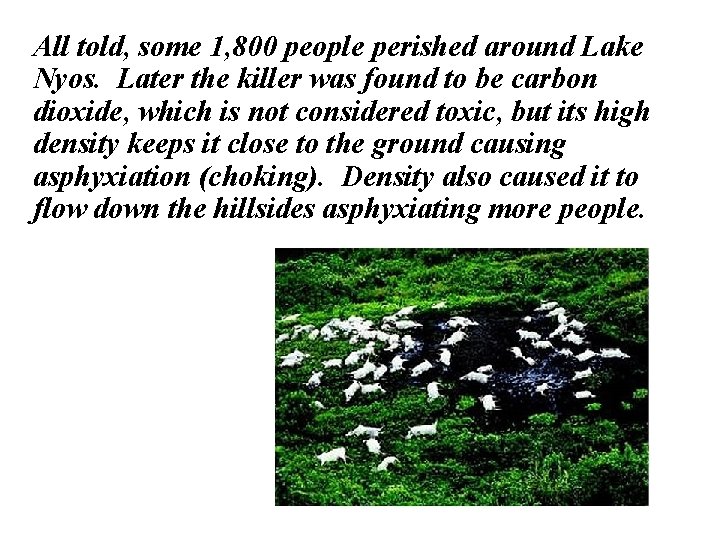 All told, some 1, 800 people perished around Lake Nyos. Later the killer was