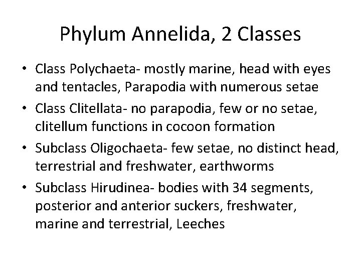 Phylum Annelida, 2 Classes • Class Polychaeta- mostly marine, head with eyes and tentacles,