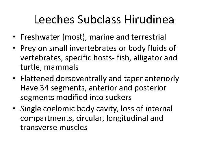 Leeches Subclass Hirudinea • Freshwater (most), marine and terrestrial • Prey on small invertebrates