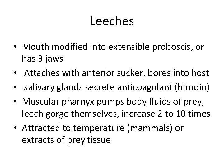 Leeches • Mouth modified into extensible proboscis, or has 3 jaws • Attaches with