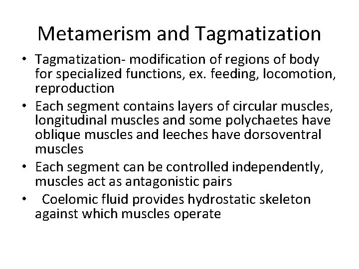 Metamerism and Tagmatization • Tagmatization- modification of regions of body for specialized functions, ex.