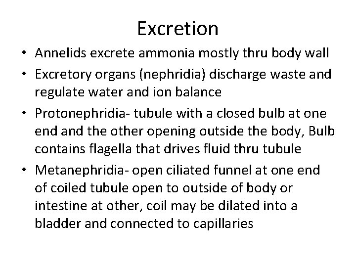 Excretion • Annelids excrete ammonia mostly thru body wall • Excretory organs (nephridia) discharge