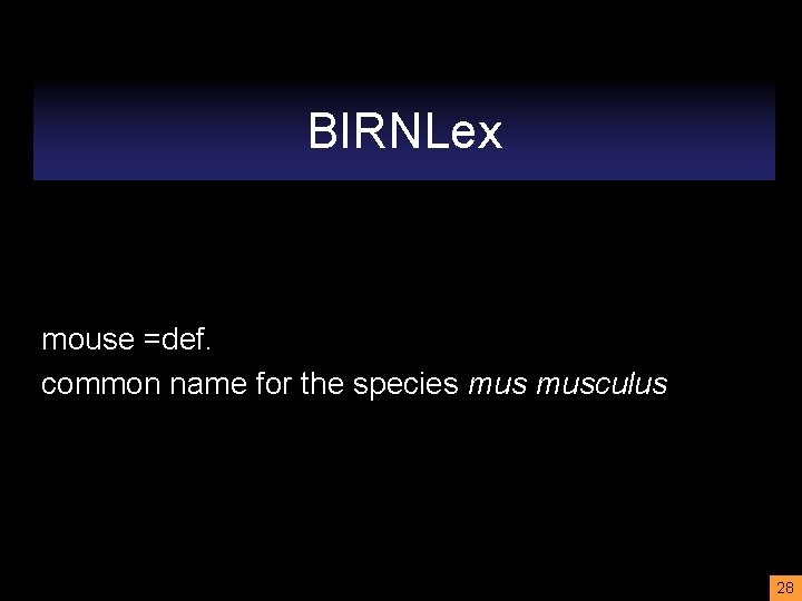 BIRNLex mouse =def. common name for the species musculus 28 