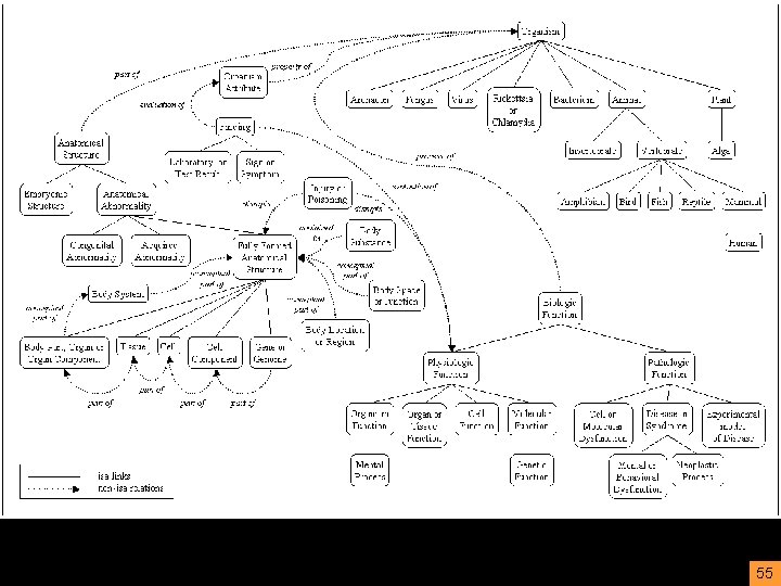 a pudding of ‘concepts’ 55 