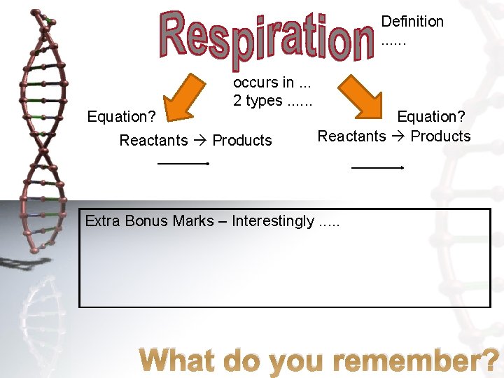 Definition. . . Equation? occurs in. . . 2 types. . . Reactants Products