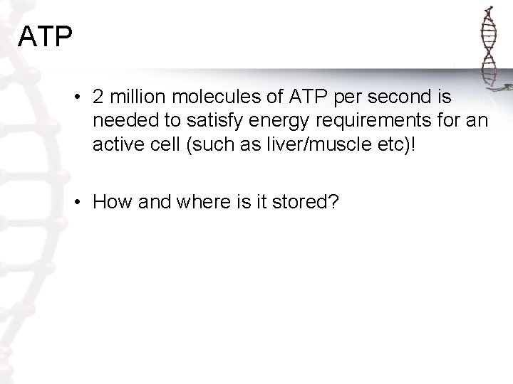 ATP • 2 million molecules of ATP per second is needed to satisfy energy