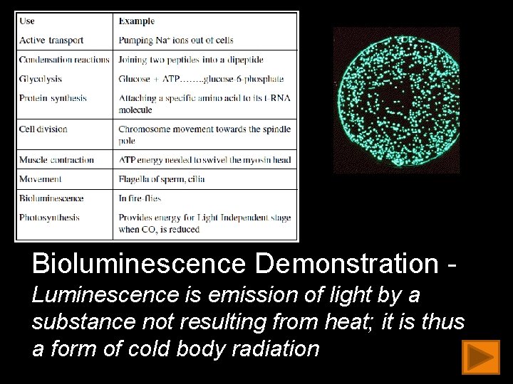 Bioluminescence Demonstration Luminescence is emission of light by a substance not resulting from heat;