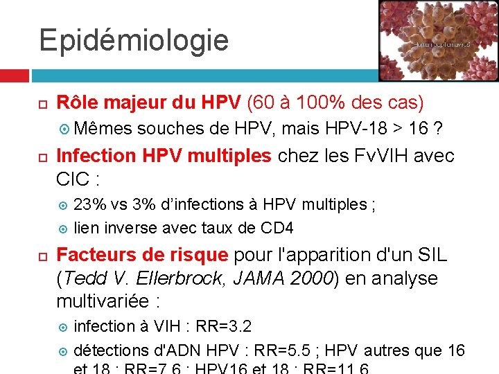 Epidémiologie Rôle majeur du HPV (60 à 100% des cas) Mêmes souches de HPV, Epidémiologie Rôle majeur du HPV (60 à 100% des cas) Mêmes souches de HPV,