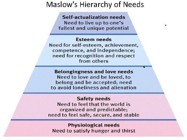 Maslow's Hierarchy of Needs 