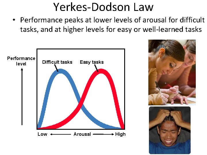 Yerkes-Dodson Law • Performance peaks at lower levels of arousal for difficult tasks, and