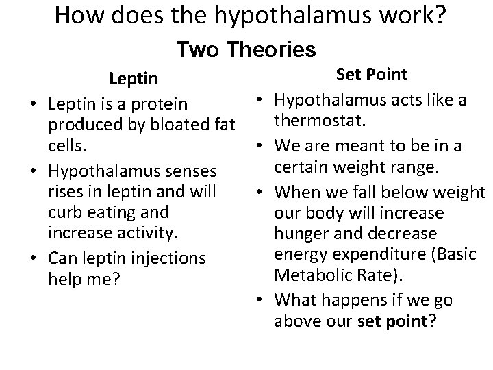 How does the hypothalamus work? Two Theories Leptin • Leptin is a protein produced