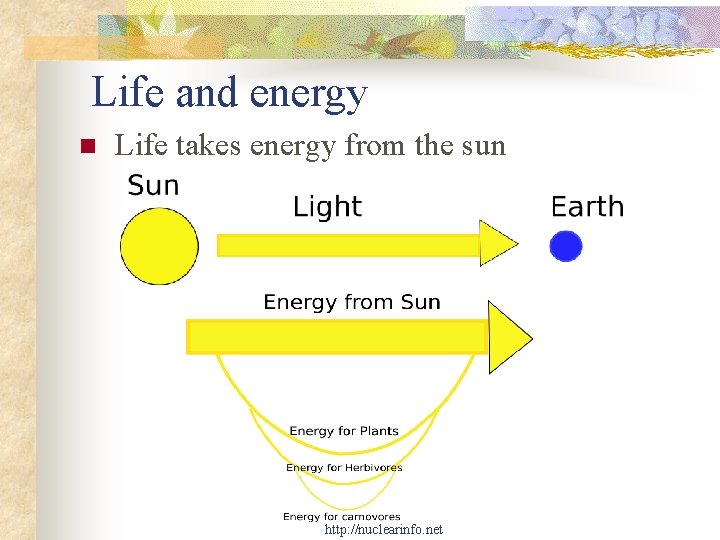 Life and energy n Life takes energy from the sun http: //nuclearinfo. net 