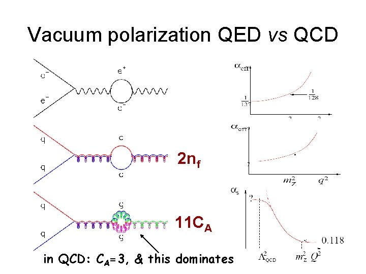 Vacuum polarization QED vs QCD 2 nf 11 CA in QCD: CA=3, & this