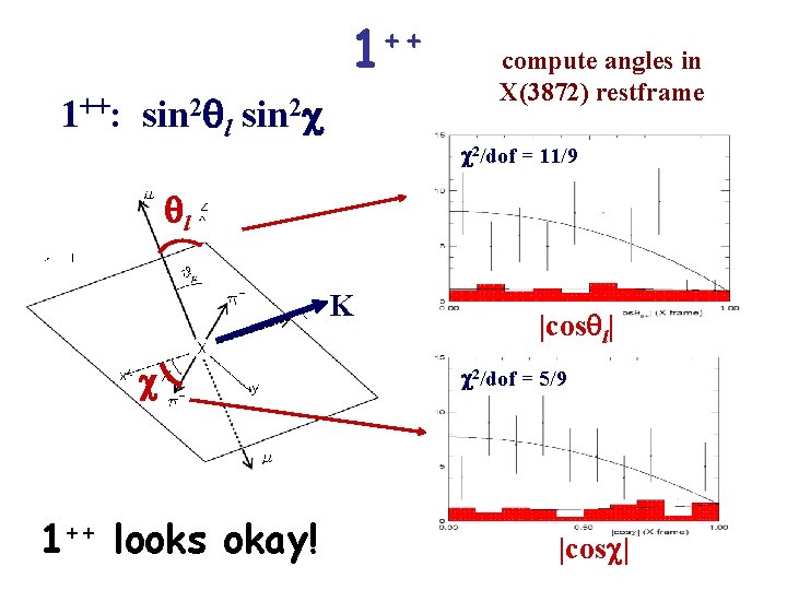 ++ 1 1++: sin 2 ql sin 2 c compute angles in X(3872) restframe