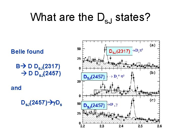 What are the Ds. J states? Belle found B D Ds. J(2317) D Ds.