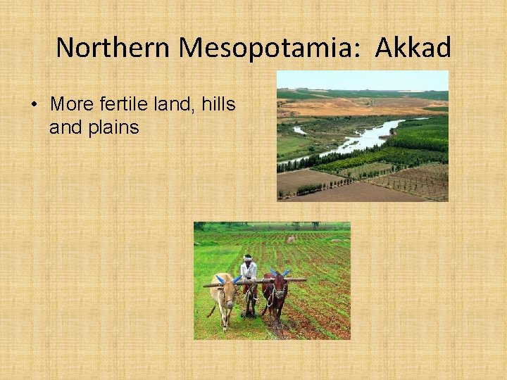 Northern Mesopotamia: Akkad • More fertile land, hills and plains 