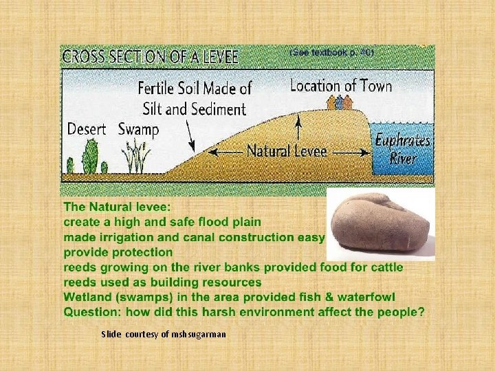 Slide courtesy of mshsugarman 