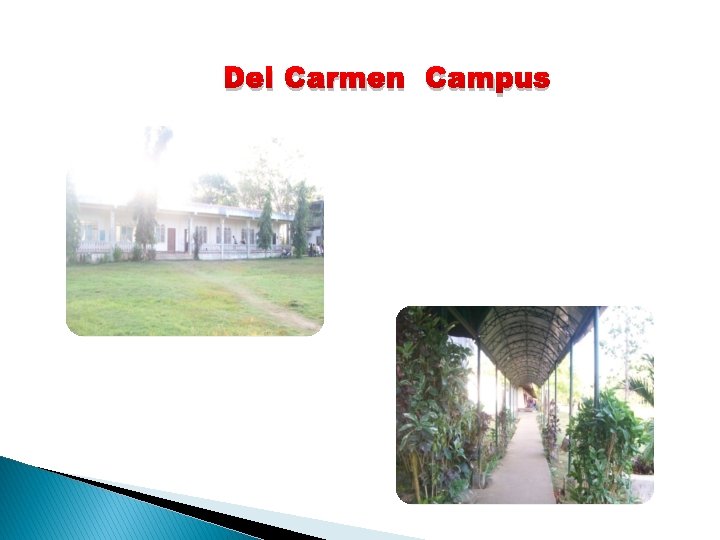 Del Carmen Campus 