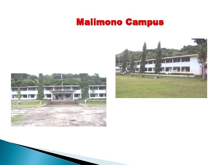 Malimono Campus 