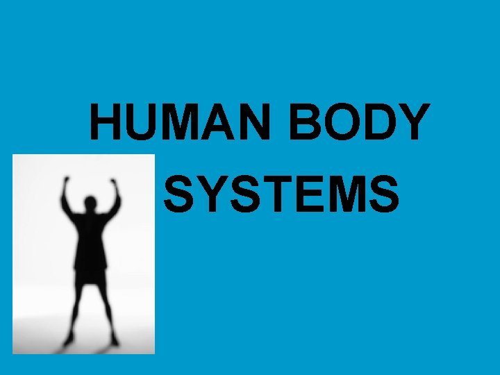 HUMAN BODY SYSTEMS 