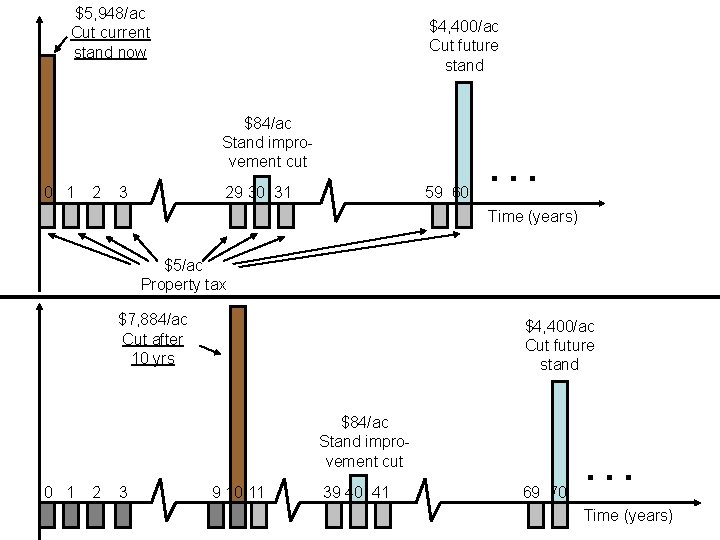 $5, 948/ac Cut current stand now $4, 400/ac Cut future stand $84/ac Stand improvement